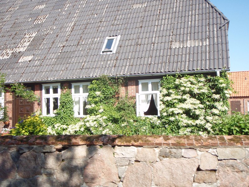 RTF Lueneburg 156